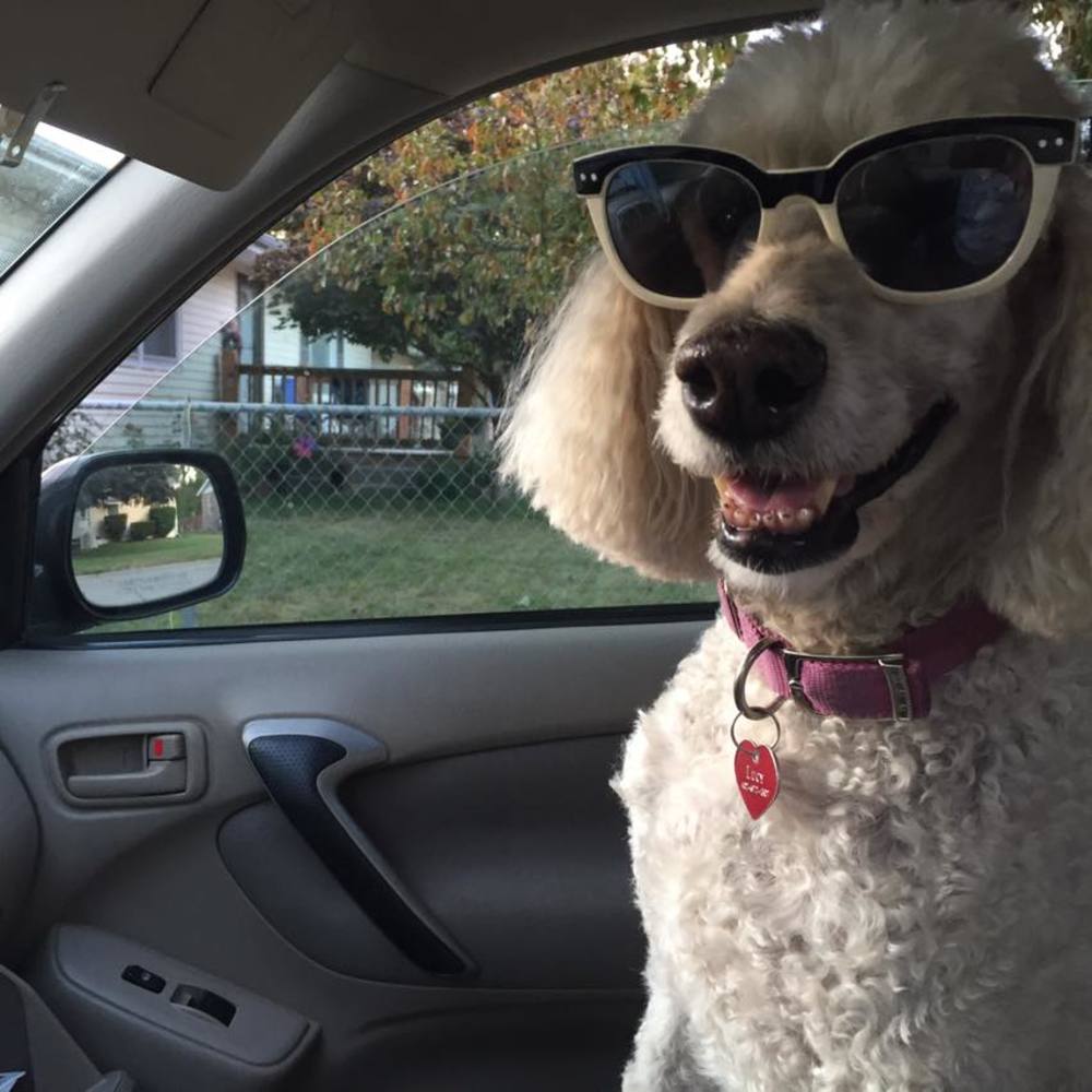 Meet your Posher, Joleen